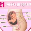 tuan thai thu 21 100x100 - Tuần thai thứ 21 và những thông tin bà bầu cần biết