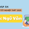 Đáp án đề thi môn Ngữ văn tốt nghiệp THPT năm 2025 chính xác thi 22065946 100x100 - Đáp án đề thi môn Ngữ văn tốt nghiệp THPT năm 2025 chính xác