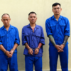 tin tức 24/7 trong ngày